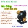 Máy bơm đẩy cao APP PW-139EA 1/5HP (loại tự động)