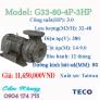 Chuyên phân phối bơm nước công nghiệp đầu gang TECO 4 pole G33-80-4P-3HP 3HP nhập khẩu