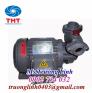 Máy bơm đẩy cao bánh răng vỏ gang đầu gang NTP HCP225-1.37 26 1/2HP