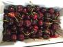 Chọn Cherry New Zealeand làm quà biếu Tết tại Klever Fruits