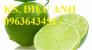 Cây giống chanh tứ quý, chanh bốn mùa không hạt chuẩn giống, số lượng lớn, giao cây toàn quốc
