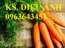 Chuyên cung cấp các loại hạt giống rau cà rốt