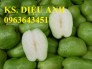 Bán cây giống ổi: ổi nữ hoàng, ổi tím, ổi không hạt, ổi đông dư, ổi lê ngọt
