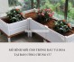 Một số mẫu chậu ghép trồng rau cực to cho mô hình ban công, sân thượng