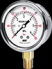 Wise-P254-Đồng hồ đo áp suất wise-TMP VietNam.