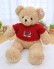 Gấu bông Teddy lông xoắn màu cà phê sữa mặc áo len đỏ