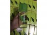 100% Authentic perfume