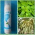 XỊt chân khử mùi
