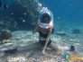 Tour Đi Bộ Dưới Biển Nha Trang