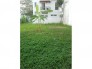 Chính chủ bán đất thị trấn Núi Thành, Quảng Nam. DT: 140m2. Gía: 450 triệu.