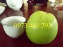 Giống cây táo T5 giống mới