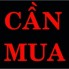 Cần Mua Gấp Nhiều Nhà Mặt Tiền Ở Tp.HCM