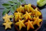 Giống cây Khế ngọt