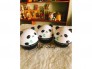 Kem TonyMoly Panda