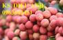 Cây giống ổi tím Malaysia, ổi đỏ, sấu ghép, sấu hạt, vải thiều Thanh Hà, vải thiều Lục Ngạn chuẩn giống
