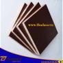 Ván ép phủ phim thaduco kt 1220*2440