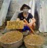 Bán đất mặt tiền an dương vương tp quảng ngãi