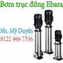 Bơm trục đứng Ebara