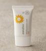 Kem Chống Nắng Innisfree Daily Uv Protection Cream Mild SPF35 PA+++
