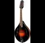 Bán Đàn mandolin giá rẻ tại Hưng Phát Bình Dương