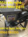 Máy Xay Nghệ Mini Giá 1.800.000vnđ