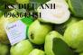 Mua cây giống ỏi: ổi lê ngọt Đài Loan, ổi lê, ổi lê ruột đỏ, ổi ruột đỏ Đài Loan chuẩn F1 ở đâu?
