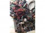 Cẩu unic củ mới nhập khẩu 100% japan đủ chủng loại