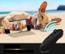 Tay cầm game bluetooth kiêm remote VRPARK