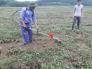 Máy xạc cỏ xới đất đeo vai Kawarzhima 440