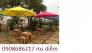 Dù cafe che mưa giá rẻ nhất
