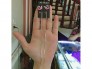 Hoa tai bạc hình thiên nga