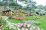Đà Lạt - Voucher Tour Đà Lạt 3N2D khách sạn 4 sao
