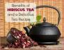 Chuyên cung cấp Trà Hibiscus, Atiso Đỏ, Bụp giấm số lượng lớn