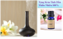 Máy khuếch tán tinh dầu Cao Cấp GX-01 công nghệ khuếch tán sóng siêu âm + Tặng Kèm 10ml Tinh Dầu - MSN181222