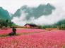 Hà Giang - Cao Nguyên Đá Đồng Văn