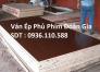 Ván ép cốp pha phủ phim 15 ly giá rẻ