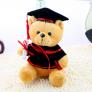 Gấu bông tốt nghiệp Dr.bear - Quà tặng trong ngày lễ tốt nghiệp