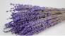 Quà Tặng 20/11 - Hoa Khô Lavender, Hoa Oải Hương Khô tượng trưng cho sự thủy chung trong tình yêu - MSN1831030
