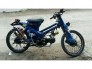 Cub 50 độ