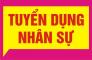 Nhân viên văn phòng tổng hợp