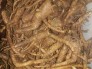 Rễ đinh lăng