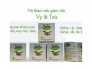 Trà thảo mộc giảm cân Vy&tea