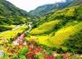 Sapa - Hạ Long - Ninh Bình
