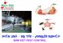 Dịch vụ diệt muỗi giá rẻ tại Gò Vấp