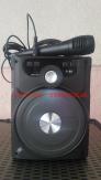 Loa Bluetooth Karaoke P88
