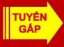 Cần tuyển 8 nhân viên nhặt bóng tại các sân tennis và bán vé xem phim trong nội thành Hà Nội.