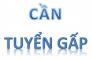 Tuyển Gấp Nhân Viên Văn Phòng.
