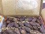 Chà là khô Malaysia (hàng xách tay) 500gr/ hộp