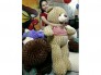 Gấu Teddy giá rẻ