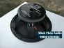 Bass 40 Martin từ 220 coil 100